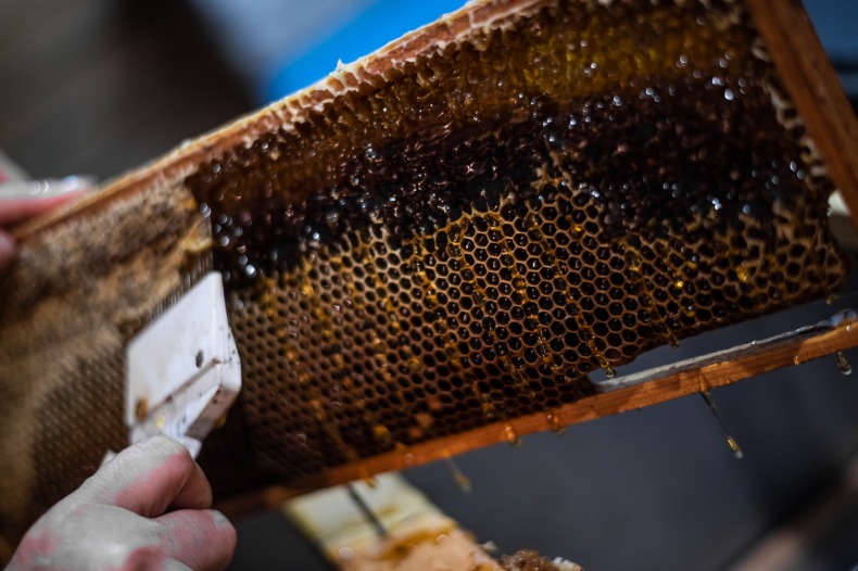 Beeswax and its Benefits