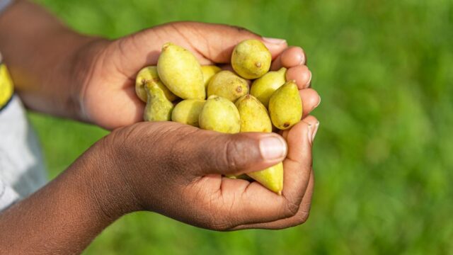 News: In Awe Enriched with History