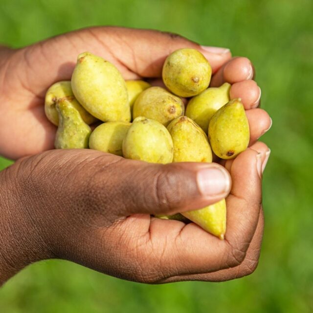 In Awe Enriched with History